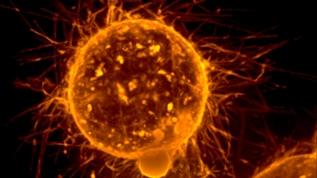 Bilim insanları imkansızı yaptı! Nanopartikül artık kontrol altında