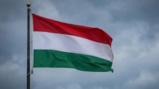 Macaristan'da genel seçimi muhalefetin adayı Magyar kazandı