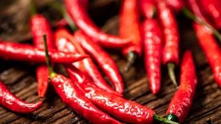 Acı biber neden yakar? Beyniniz aslında ne hissediyor
