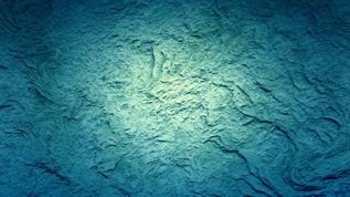 Okyanus tabanındaki gizemli beyaz halkalar şok etti