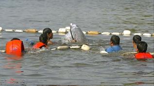 Umuda yolculuk faciayla bitti! Bangladeş'ten Malezya'ya göç yolunda 250 kayıp