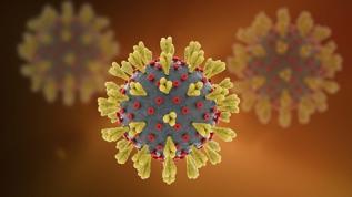 Almanya'da 50 ölümcül Borna virüsü vakası kaydedildi! Bilim dünyası alarma geçti