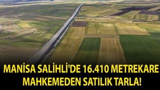 Manisa Salihli'de 16.410 metrekare mahkemeden satılık tarla!