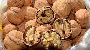 Ceviz beyin ve kalp sağlığını destekliyor: Antioksidan deposu olarak öne çıkıyor