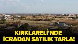 Kırklareli'nde icradan satılık tarla!