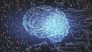 Bilim insanları beyin devrelerini düzenleyerek hafızayı kalıcı kıldı