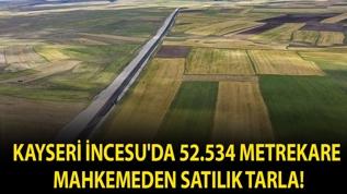 Kayseri İncesu'da 52.534 metrekare mahkemeden satılık tarla!