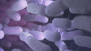 Bilim dünyasında alarm! Sentetik bakteriler ekolojik felakete yol açabilir