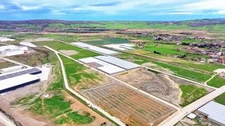Samsun Bafra Sera Organize Tarım Bölgesi'nden ekonomiye yıllık 1,5 milyar lira katkı