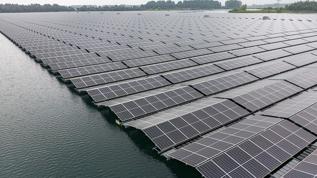 Yüzer güneş enerji santralleri doğal yaşama çatı oluyor