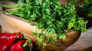 15 günlük maydanoz kürü uygulamasıyla ödem ve toksinlere veda