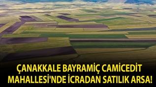 Çanakkale Bayramiç Camicedit Mahallesi'nde icradan satılık arsa!