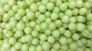 Ne havuç ne pancar... Gözleri fişek gibi yapan besin!