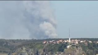 Beykoz'da orman yangını: Alevlere havadan müdahale