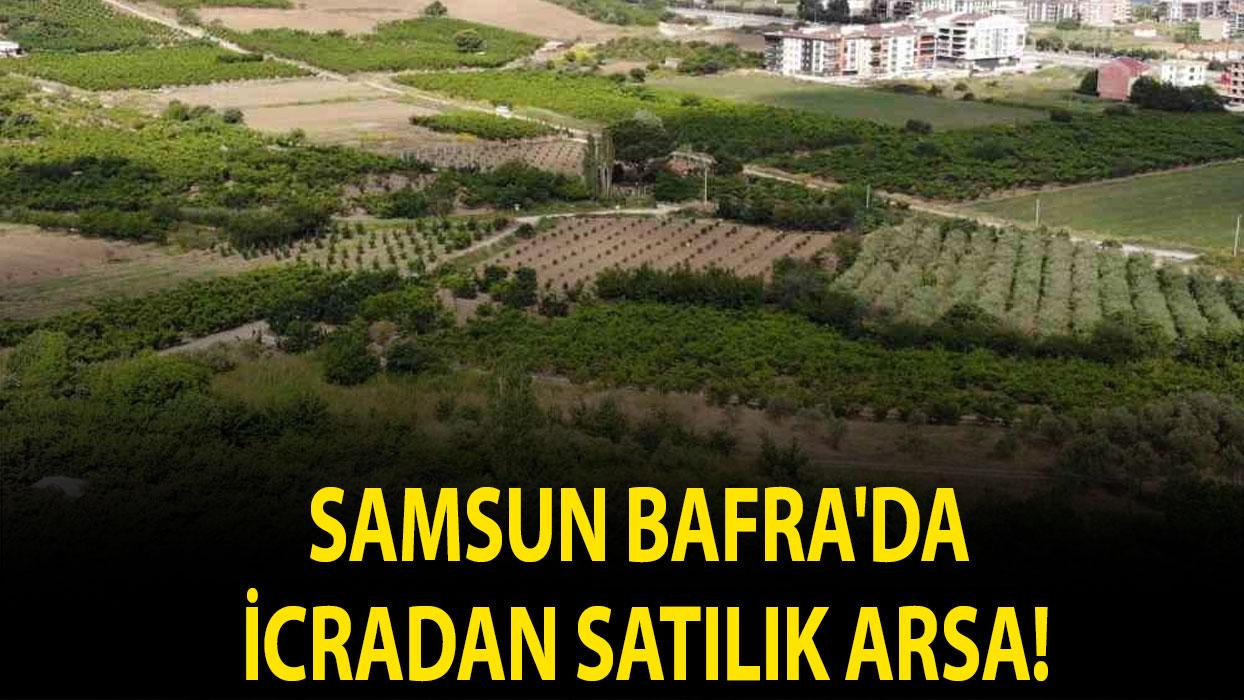 Samsun Bafra'da icradan satılık arsa!