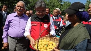 Bakan Yumaklı: Malatya, dünyada kayısı üretiminde birinci sırada!