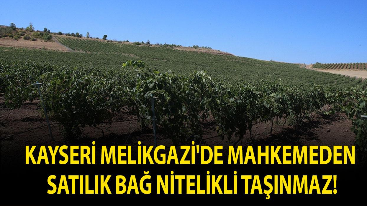 Kayseri Melikgazi'de mahkemeden satılık bağ nitelikli taşınmaz!