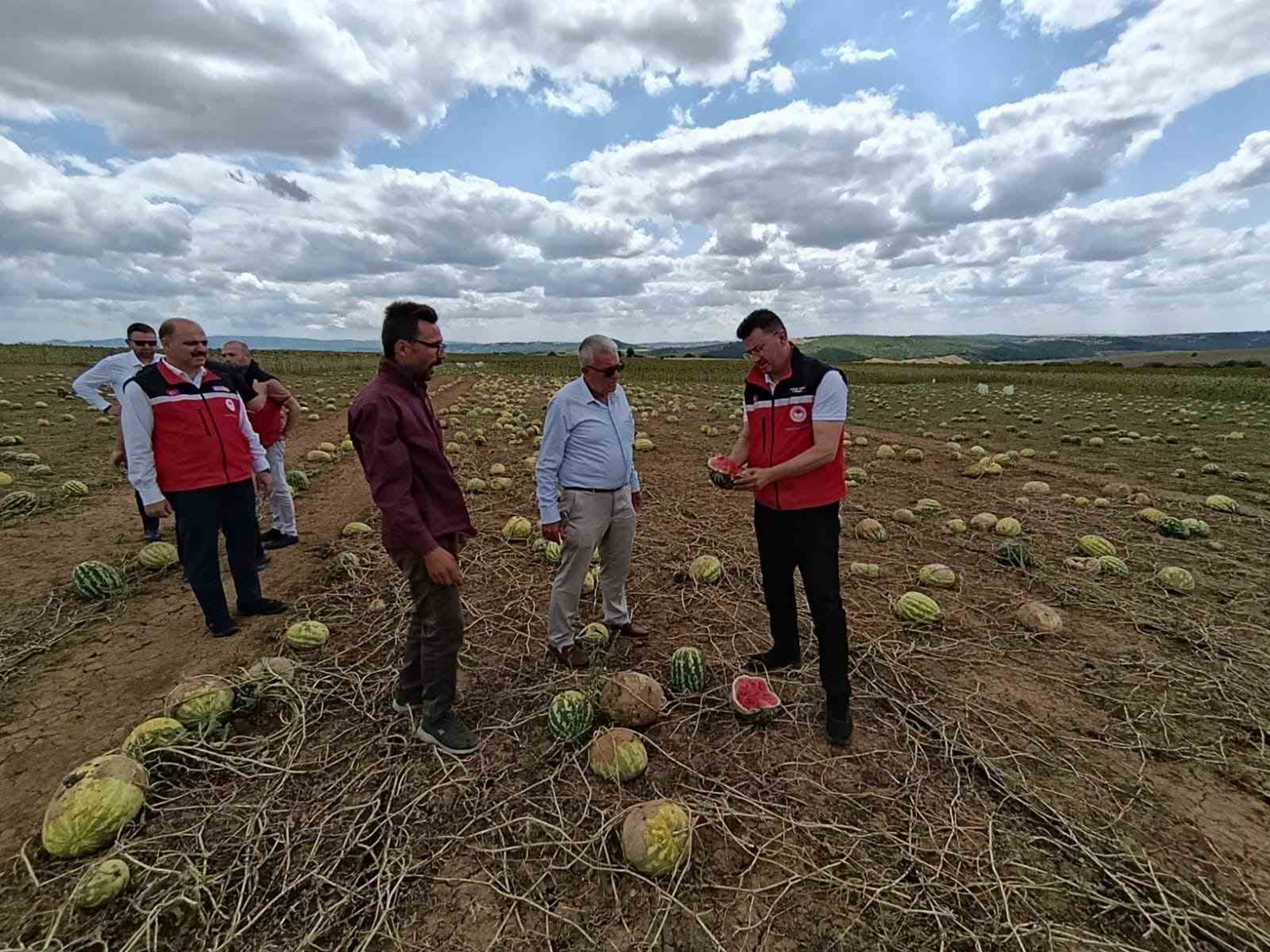 Tekirdağ'da dolunun vurduğu köylerde hasar tespit çalışmaları sürüyor