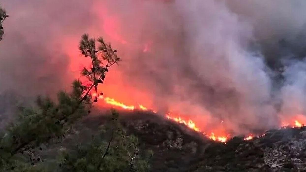 Antalya'nın Kaş ilçesinde orman yangını çıktı