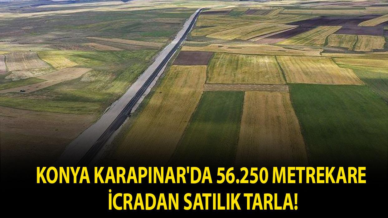 Konya Karapınar'da 56.250 metrekare icradan satılık tarla!