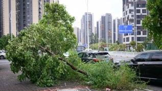 Ülke alarm durumuna geçti! Yaklaşan tayfun nedeniyle yaklaşık 390 bin kişi tahliye edildi