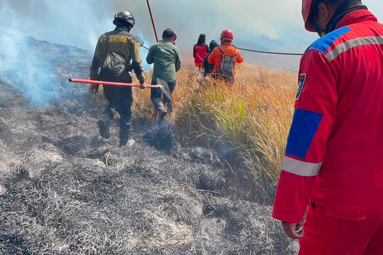 Bromo Milli Parkı yangın nedeniyle kapatıldı! Alevler 176 hektarlık alanı sardı
