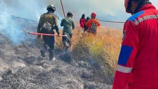Bromo Milli Parkı yangın nedeniyle kapatıldı! Alevler 176 hektarlık alanı sardı