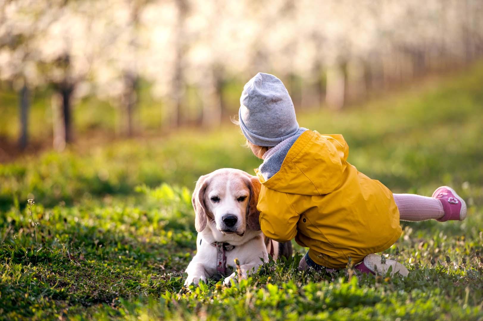 Köpek sahipliği çocuk sağlığında yeni dönem başlatıyor
