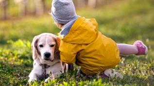 Köpek sahipliği çocuk sağlığında yeni dönem başlatıyor