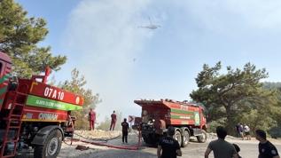 Alanya'da bir hafta arayla ikinci yangın: Alevler kontrol altına alındı