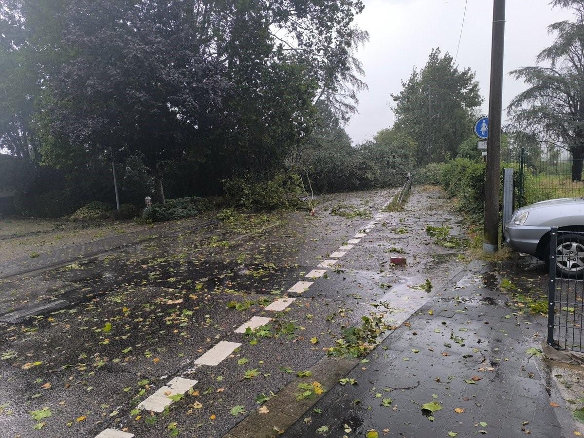 Almanya'da şiddetli fırtına: 1 ölü, 2 yaralı