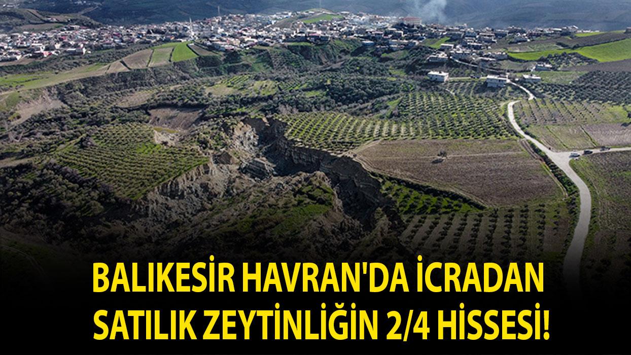 Balıkesir Havran'da icradan satılık zeytinliğin 2/4 hissesi!