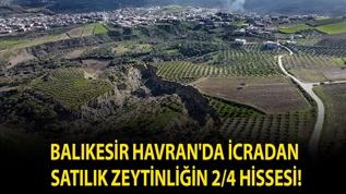 Balıkesir Havran'da icradan satılık zeytinliğin 2/4 hissesi!