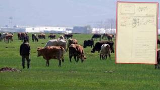Danimarka'nın gizli Erzurum planı! 93 yıllık belge her şeyi ortaya çıkardı
