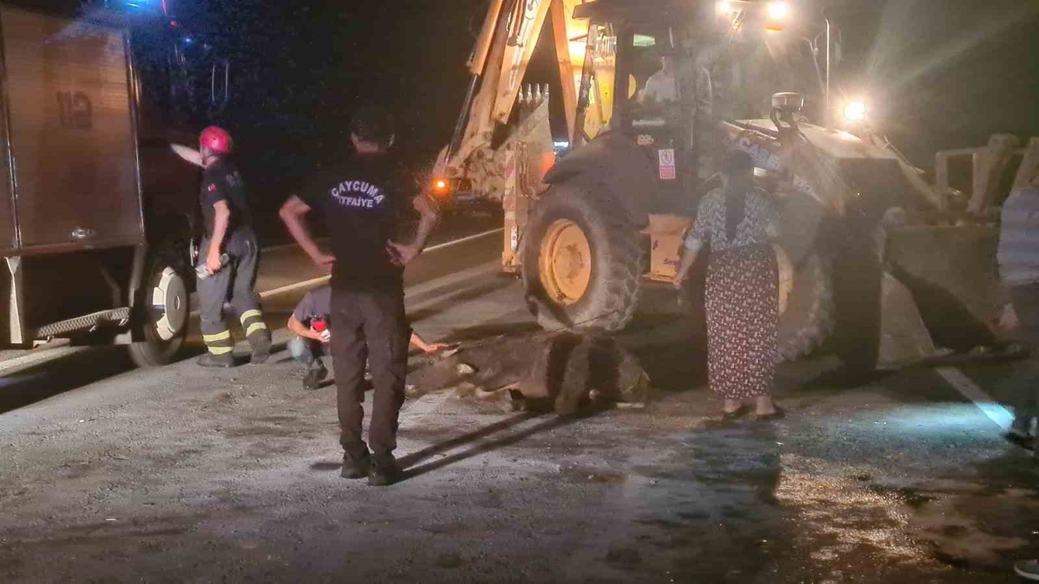 Otomobil karayoluna çıkan 3 mandaya çarptı: 1'i ağır, 2 yaralı
