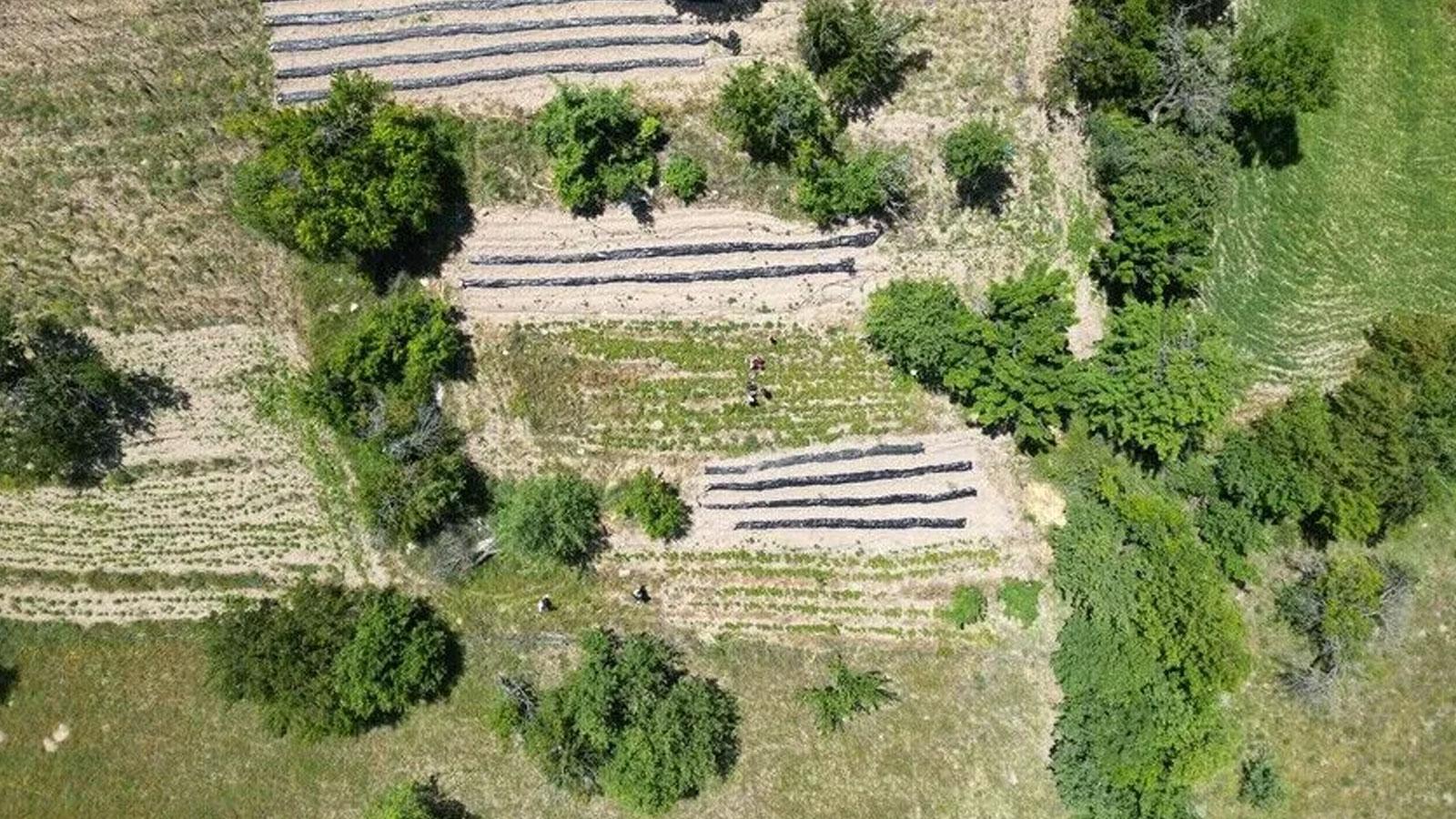 Orman Genel Müdürlüğün'den orman köylüsüne 3,3 milyar lira destek