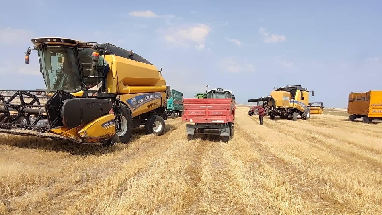 Tarımsal destekleme ödemeleri hesaplara aktarılıyor