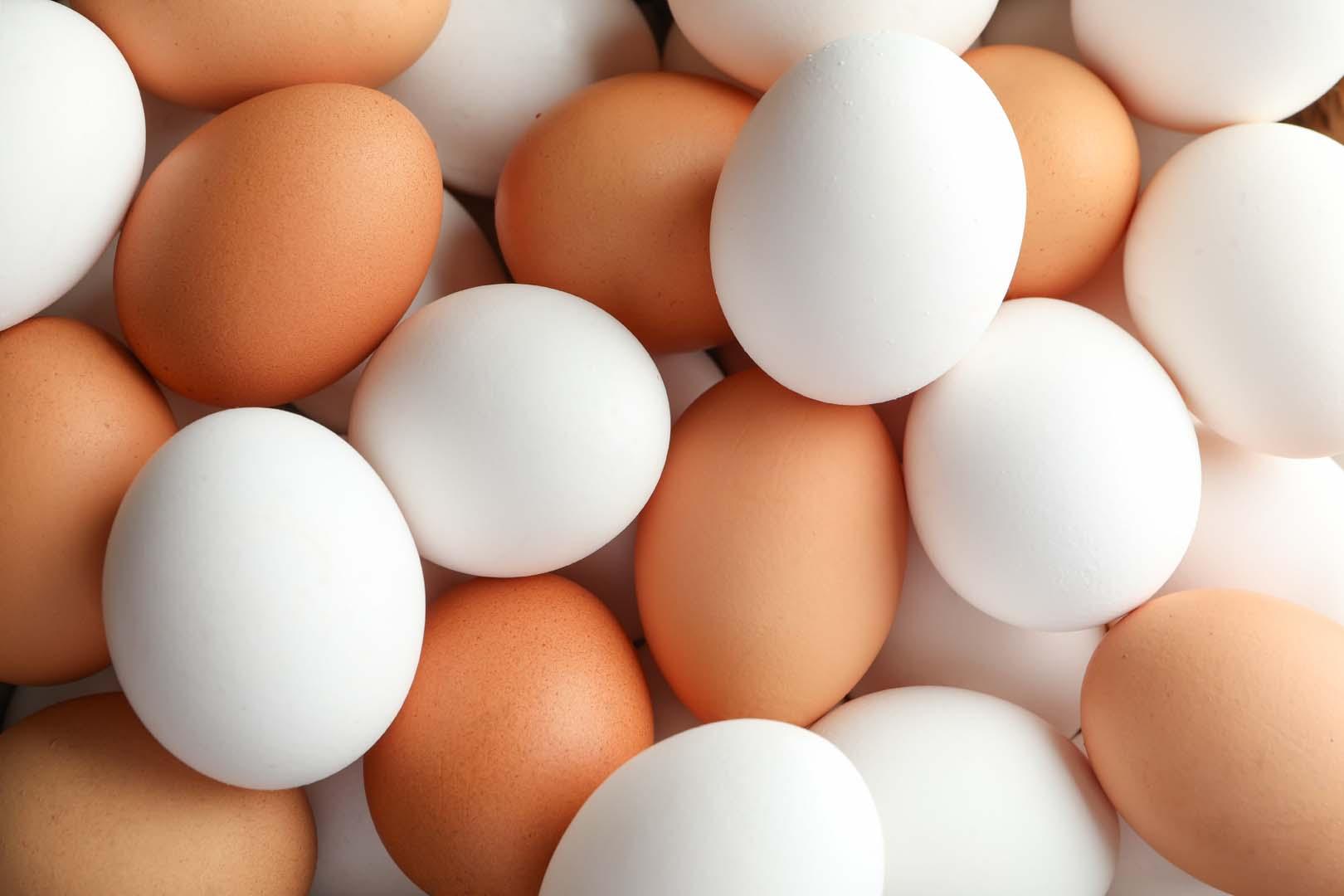 Yumurtanın beyin üzerindeki etkisi şaşırttı