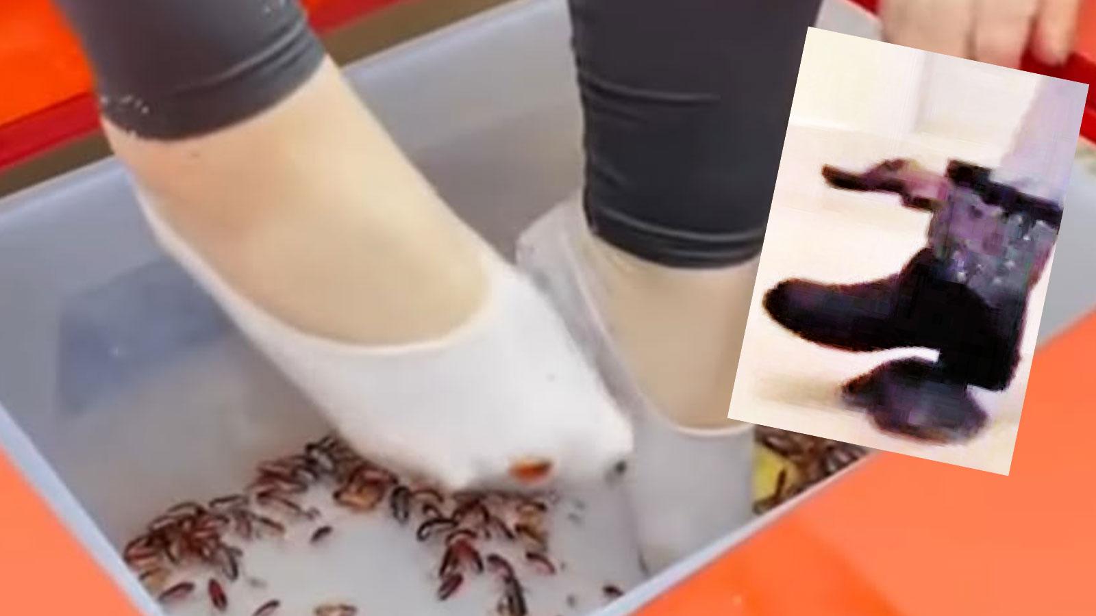Vahşetin dijital pazarı! Hayvan ezme videoları, sosyal medyayı sarsıyor