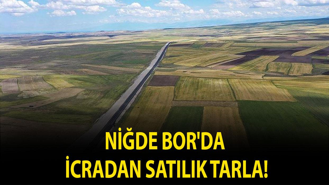 Niğde Bor'da icradan satılık tarla!