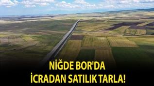 Niğde Bor'da icradan satılık tarla!