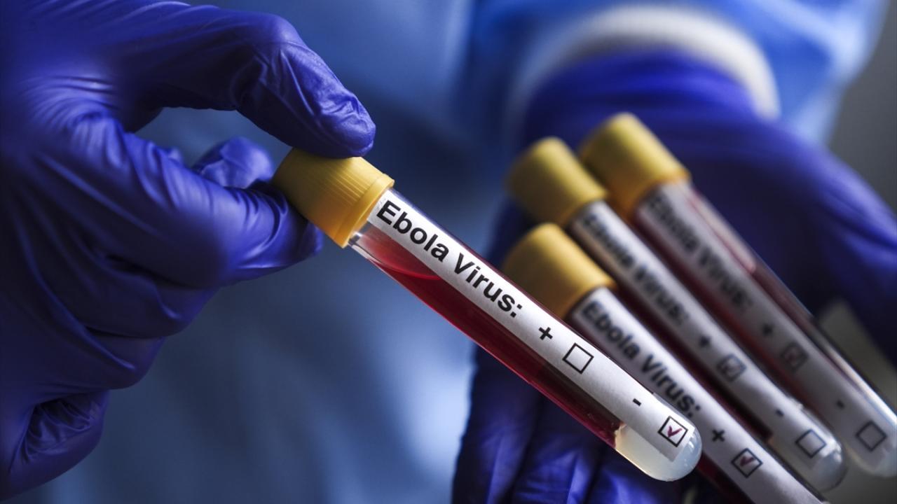 Ebola salgını nedeniyle hayatını kaybedenlerin sayısı artıyor