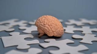 Alzheimer tedavisinde yeni umut! Beynin destek hücreleri nöronlara dönüştürüldü