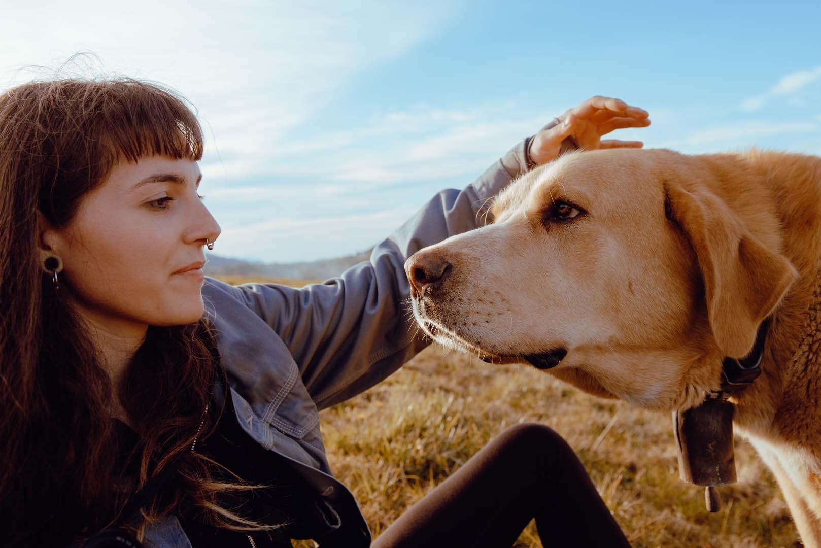 Köpek-insan iletişiminde şaşırtan ayrıntı! En küçük yüz hareketleri bile fark ediliyor