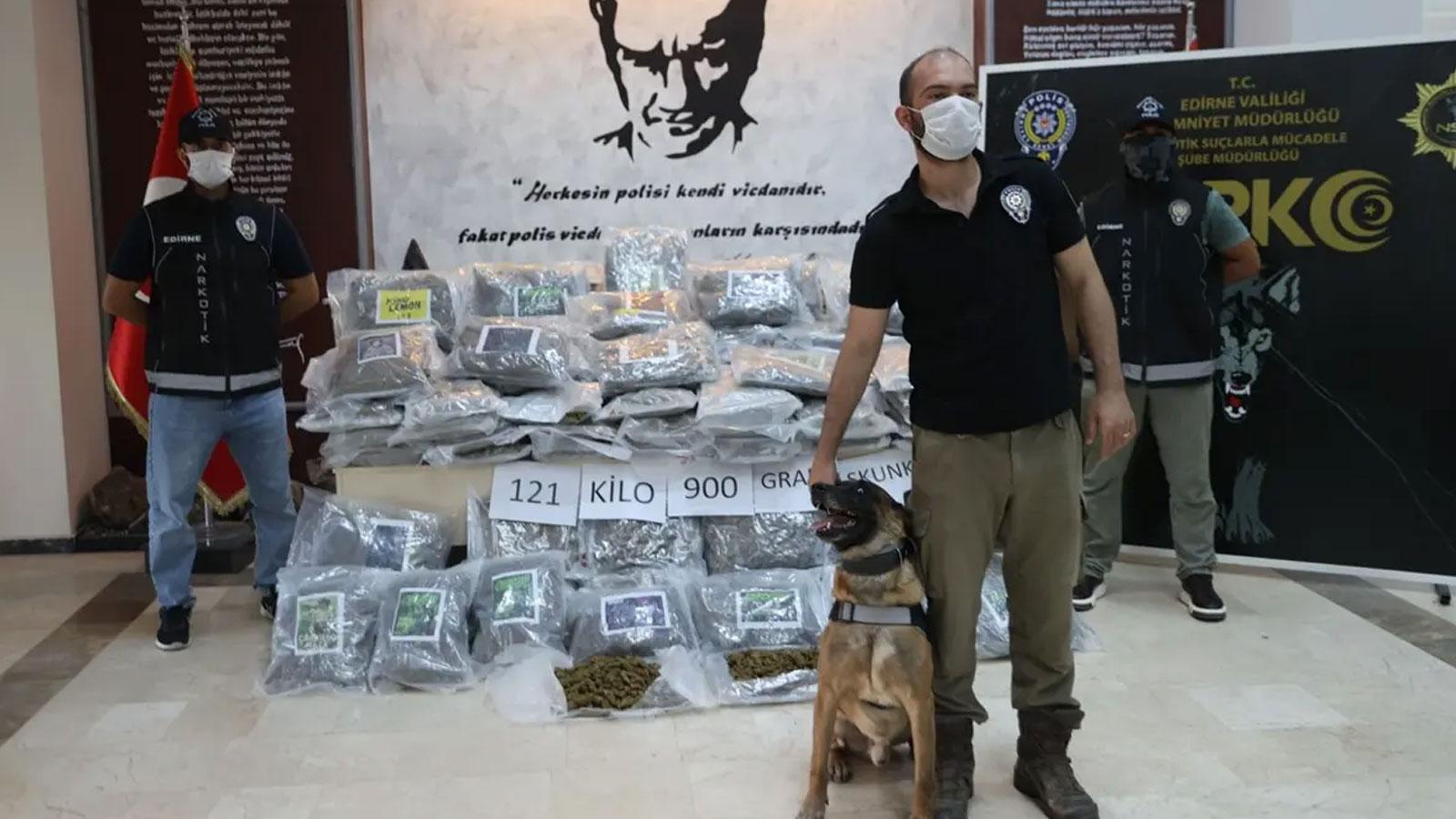 Edirne'de sınır kapısında 121 kilo skunk ele geçirildi
