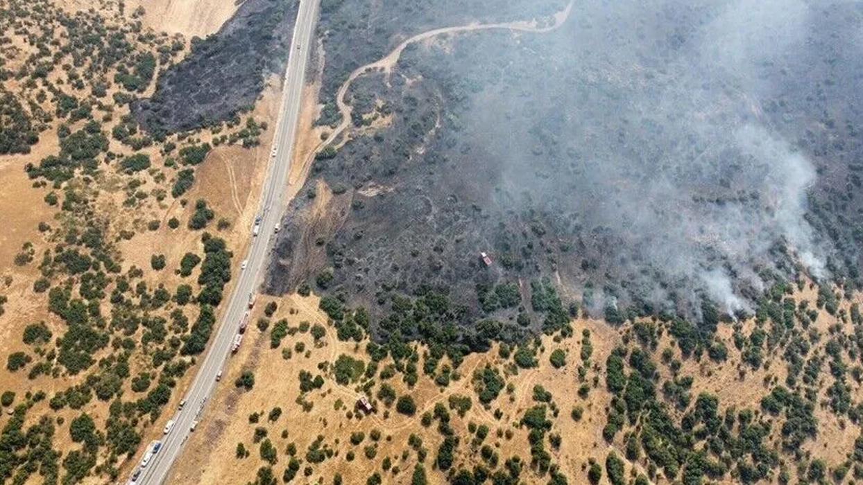 Elazığ'da ormana sıçrayan yangına müdahale ediliyor