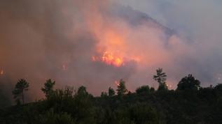Antalya'da orman yangını... Alevlere havadan ve karadan müdahale ediliyor