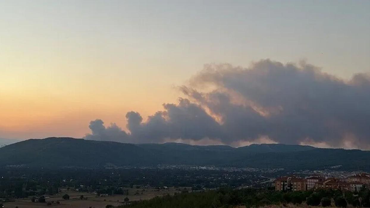 Muğla'da orman yangını: Havadan ve karadan müdahale sürüyor