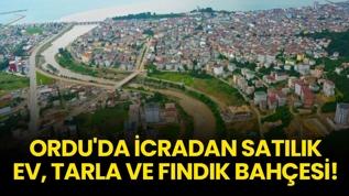 Ordu Fatsa'da icradan satılık ev, tarla ve fındık bahçesi!