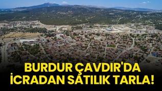Burdur'da icradan satılık tarla!